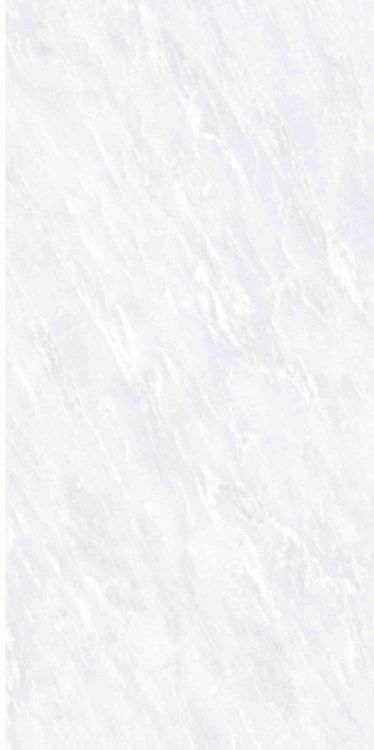 OL Vivid White Matte 12 x 24